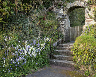 Church Yard in Bloom